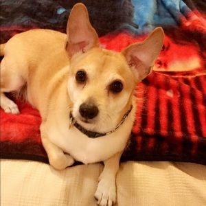 Meet your Posher, Pretzel